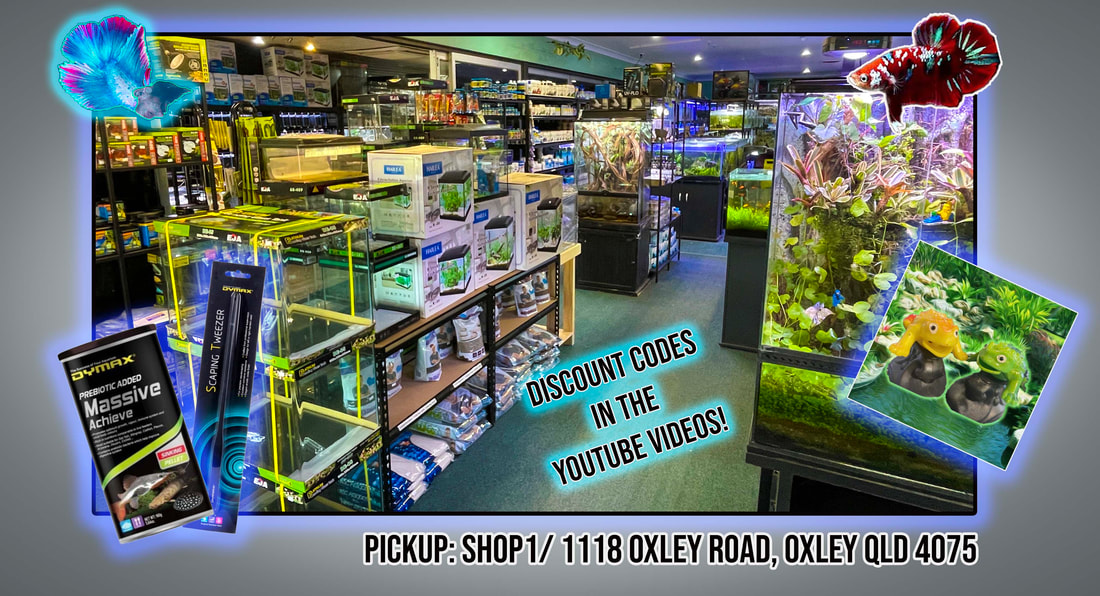 Aquarium cheap shop afterpay